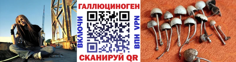 Галлюциногенные грибы Magic Shrooms Мостовской