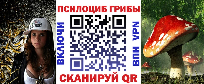 Галлюциногенные грибы мицелий  нарко площадка состав  Мостовской  omg как войти 